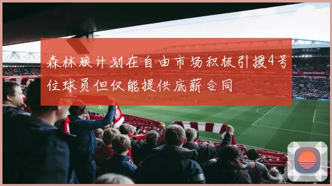 森林狼计划在自由市场积极引援4号位球员但仅能提供底薪合同